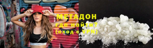 прущие грибы Аркадак