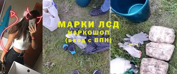 прущие грибы Аркадак