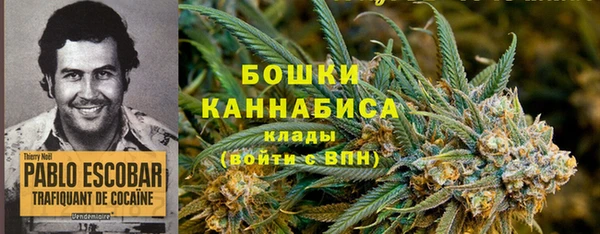 PSILOCYBIN Арсеньев