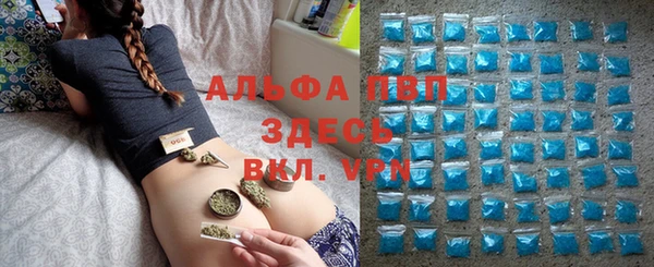 PSILOCYBIN Арсеньев