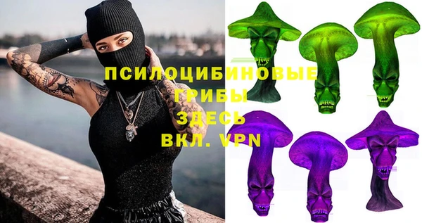 PSILOCYBIN Арсеньев