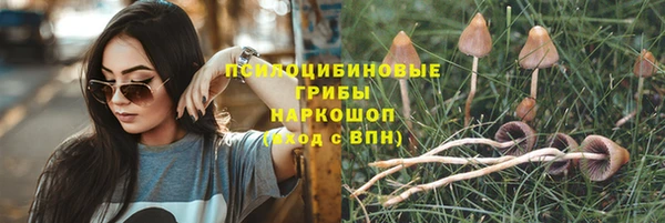 прущая мука Армянск