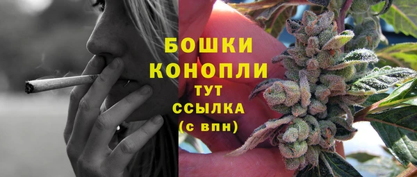 прущие грибы Аркадак