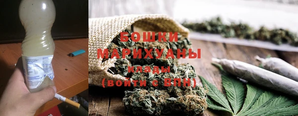 прущие грибы Аркадак