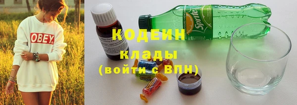 прущие грибы Аркадак