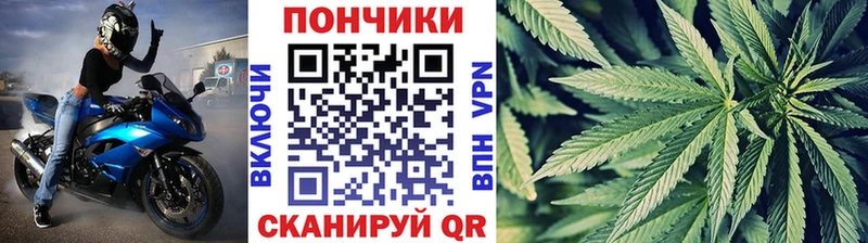 Шишки марихуана SATIVA & INDICA KRAKEN ССЫЛКА Карабулак купить